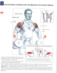 elevaciones-laterales-de-los-brazos-con-mancuernas