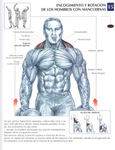 encogimiento-hombros