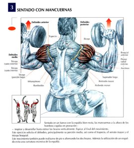 sentado con mancuernas